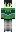 skin of a player