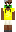 skin of a player
