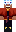 skin of a player