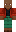 skin of a player