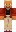 skin of a player