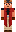 skin of a player