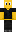 skin of a player