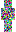 skin of a player