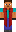 skin of a player