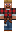skin of a player