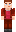 skin of a player