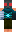 skin of a player