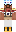 skin of a player
