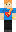 skin of a player