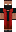 skin of a player
