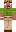 skin of a player
