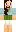 skin of a player