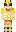 skin of a player