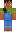 skin of a player