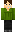 skin of a player