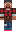skin of a player