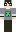 skin of a player