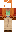 skin of a player