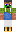 skin of a player