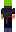 skin of a player