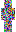 skin of a player