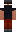 skin of a player