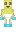 skin of a player