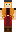 skin of a player