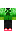 skin of a player