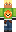 skin of a player
