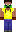 skin of a player
