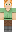 skin of a player