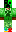 skin of a player