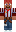 skin of a player