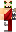 skin of a player