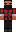 skin of a player