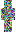 skin of a player