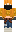 skin of a player