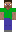 skin of a player