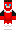 skin of a player