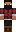 skin of a player