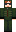 skin of a player