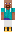 skin of a player