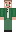 skin of a player