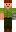 skin of a player
