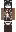 skin of a player