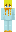 skin of a player