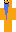 skin of a player