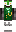 skin of a player